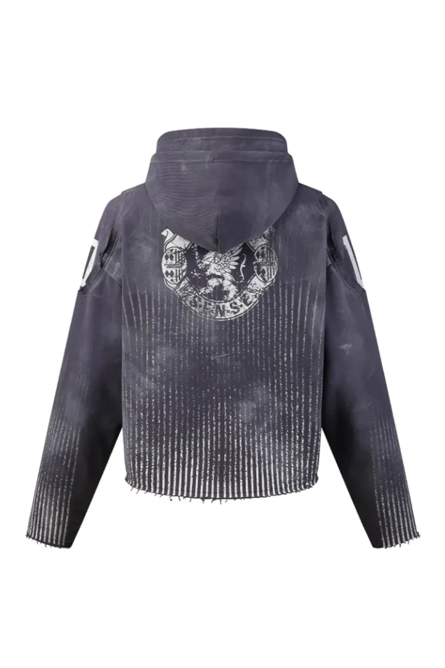 Vertical Striped Distressed Hoodie FB7967